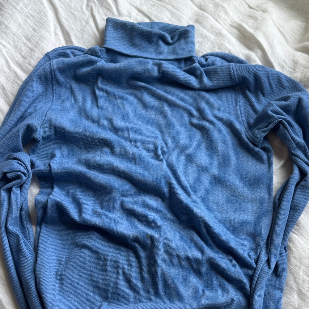 Everlane Blue Turtleneck layering Sweater